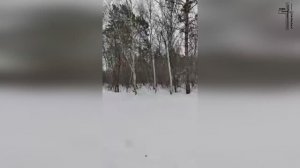 СЛОВО / МОЛИТВА В ЛЕСУ 🙏