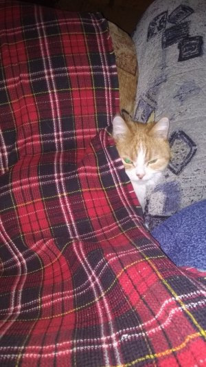 Нечего подглядывать за мной.😂🔥