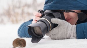Мастер классы по фотоохоте прошли в Казахстане
