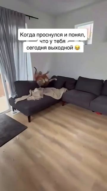 Не завидуйте смотреть онлайн