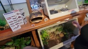 #383 Learning on the Road: Big Family Travels & Nature Center Fun 6.02.2026