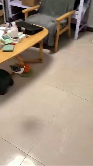 Тренажёр для охоты смотреть онлайн