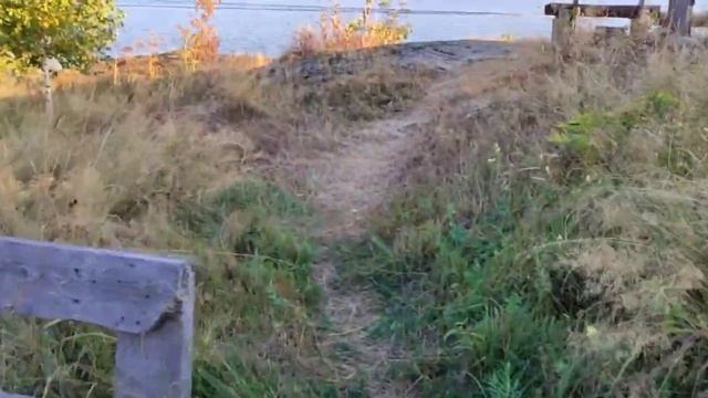 Променад по острову Тибиркуль 17.08.24. смотреть онлайн