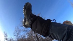 Лиса , река , лес гуляю по окрестностям