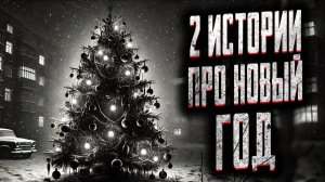 2 истории про новый год. Страшные истории на ночь. Мистика. Страшилки на ночь.