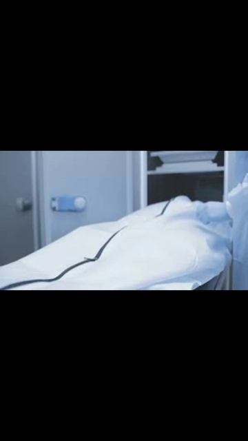 В Санкт-Петербурге выявили схему незаконной торговли телами умерших смотреть онлайн