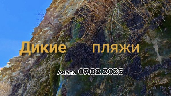 Анапа 07.02.2026 Дикие пляжи