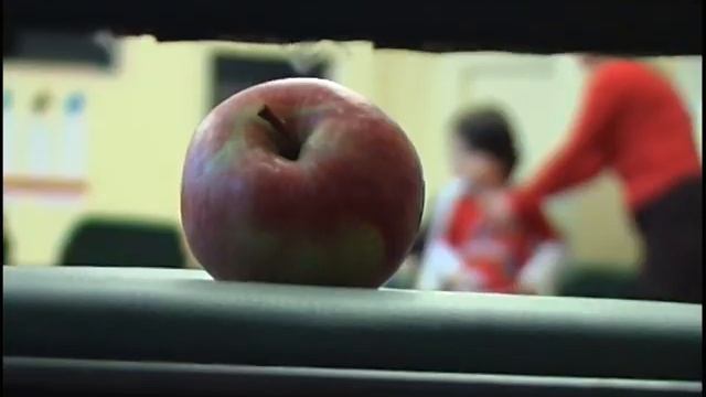 Ту Би Шват (2009)