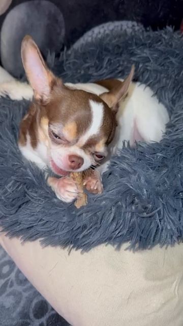 Вкуснятина. смотреть онлайн