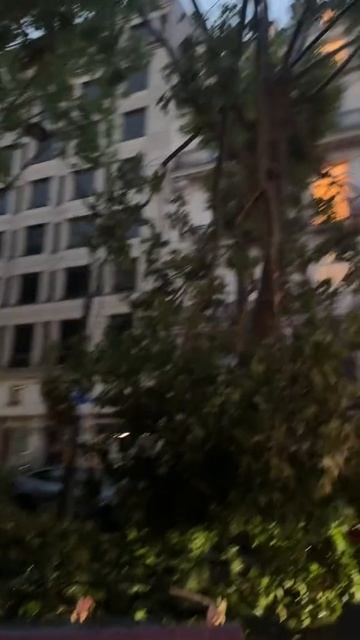 Увидеть Париж и умереть смотреть онлайн