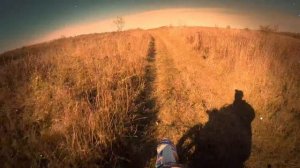 Lucky Duck - это не только внедорожные минибайки!