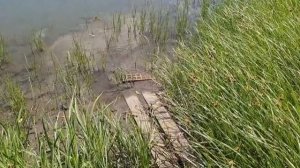 Вдохновивший велопоход