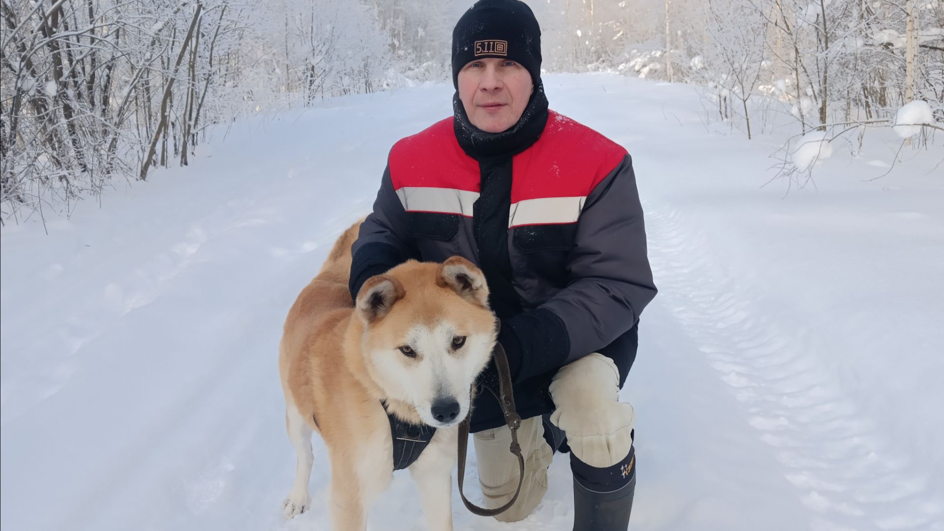 Прогулка по зимнему Лесу ‼️ страшный рассказ ‼️ пришли волки ‼️ Муж приготовил обед. смотреть онлайн