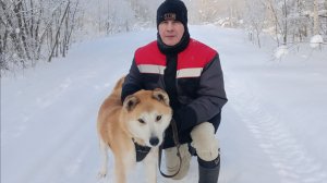 Прогулка по зимнему Лесу ‼️ страшный рассказ ‼️ пришли волки ‼️ Муж приготовил обед.