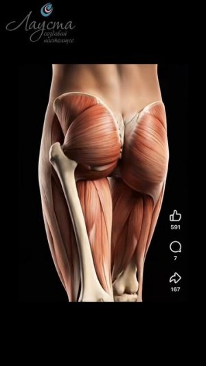 Походка как ключ к диагностике заболеваний суставов