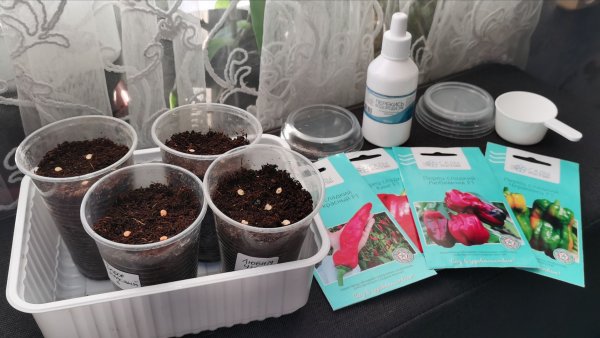 Сеем перцы на рассаду Сезон 2026 для прищипки! Обзор покупок для огорода.