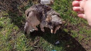 Мы любим рыбку