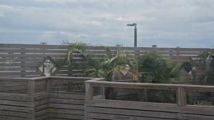 #384 Miles, Memories, and Family/Big Family, Big Adventures 7.02.2026