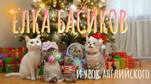 ЁЛКА БАСИКОВ И УРОК АНГЛИЙСКОГО ЯЗЫКА!