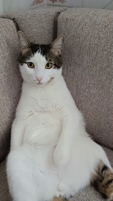 Мне этот мир уже абсолютно понятен...