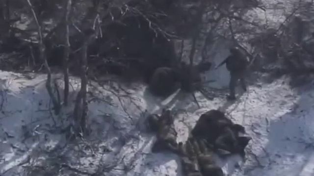 🇷🇺🇺🇦🏳️Шесть ВСУшников сдались в плен нашим штурмовикам под Константиновкой смотреть онлайн