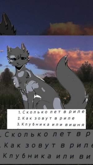 отвечаю на вопросы ЗАМШЕЛОГО