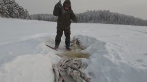 Три дня в тайге: соболь, лось и жадная щука! Проверка путика и рыбалка.