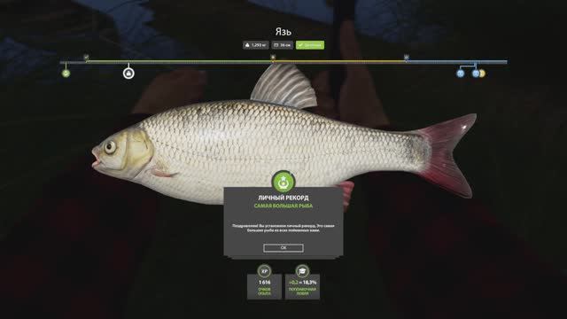 🔴Отдыхаю на РЫБАЛКЕ