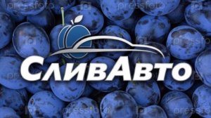 Как искать тачки на ТГ каналах. Смотри описание!