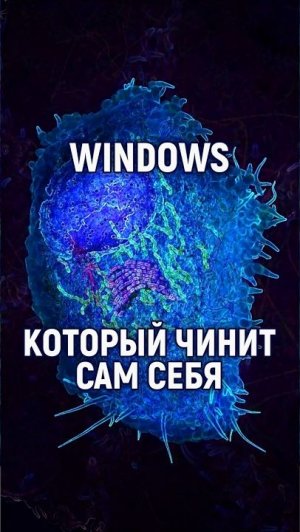 98% ДНК - это не мусор, а операционная система клетки, но исходный код неизвестен. Смотри описание👇