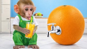 Мультики для детей. Обезьянка и его друг на ферме играют. Видео про обезьянку