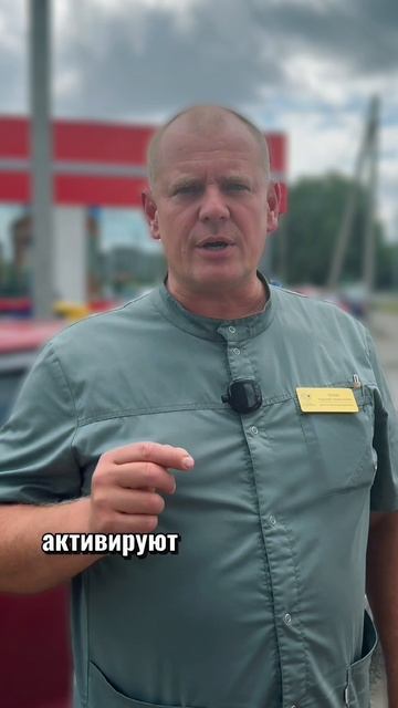 Белочка где-то нашла энергетик. Что теперь будет?