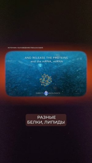 Применение экзосом в косметолгии