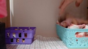 влог вечер мини реборнов 🤩😴🌙