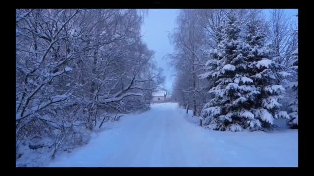 сидельниковый украшения дома на Новый год