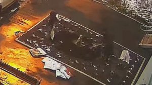 «УДОБРИЛИ ЗЕМЛЮ ЧЕРНОЗЁМОМ»