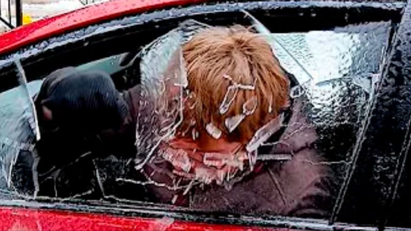 NEW! FailArmy. Best Fails of the Week | KAAAABOOOOM! смотреть онлайн