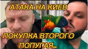 САМВЕЛ АДАМЯН, АТАКА НА КИЕВ, У КОЛИ ПРОПАЛО НАСТРОЕНИЕ, ПОКУПКА ВТОРОГО ПОПУГАЯ..