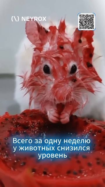 ЭТО дешевое СРЕДСТВО ИЗБАВИТ от ТРЕВОЖНОСТИ и БЕСПОКОЙСТВА