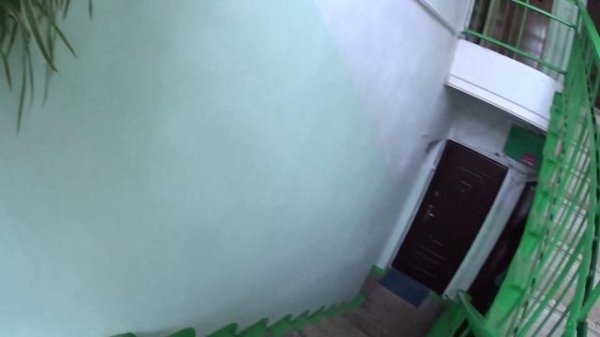 ПТИЧКА НА МЕСТЕ