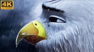 🦅Пернатый патруль🦅(4К Дубляж)