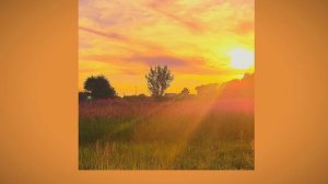 ОПИСАНИЕ СЪЕЛА АКУЛА.. 
название песни -- Градусы-хочеться ;З