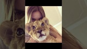 плейлист который вам нужен