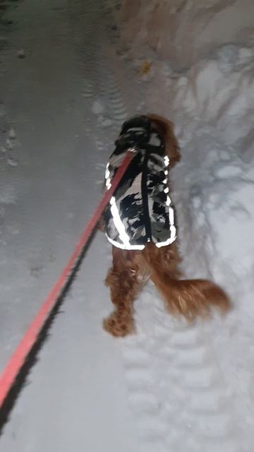 Снежная аллея ЖК Салават Купере Казань#shorts смотреть онлайн