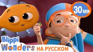 Зубная щетка | Изучай этот мир вместе с Блиппи | Обучающие видео для детей | Blippi Russian