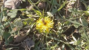 Погодка +15. Заказали матрицу под ващину. Распаковка