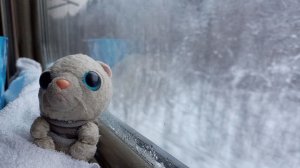 Сел и поехал.