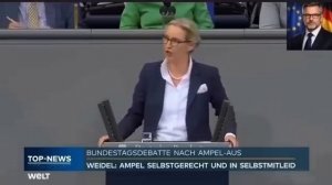 Апти Алаудинов "АХМАТ". Алис Вайдель о Зеленском