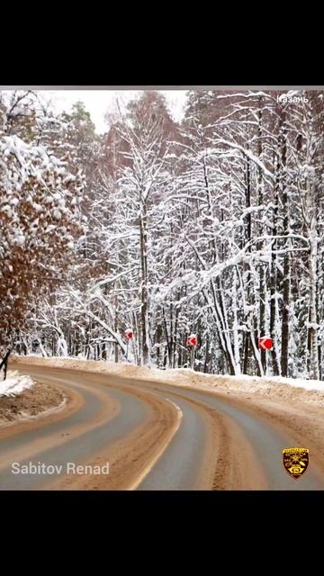 Золотой Скиталец. Всем хорошего настроения.