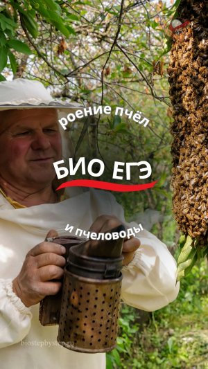 ЕГЭ БИО | Роение пчёл